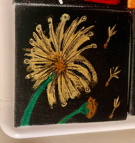 Dandelion Dreams